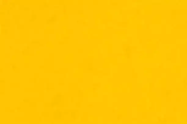 Welcome to testvandy10Feb26T103939app